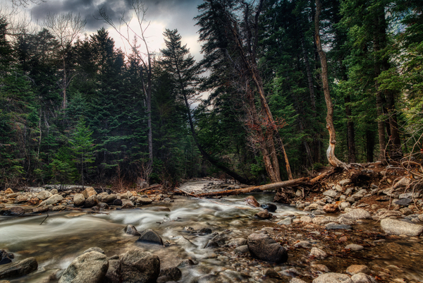Mountain Stream 2 by Derrick Cochran