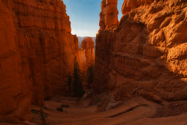 Bryce Canyon National Park  by Derrick Cochran
