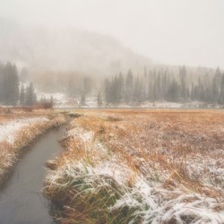 Fall Snow