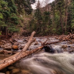 Mountain Stream 1