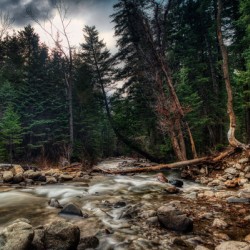 Mountain Stream 2