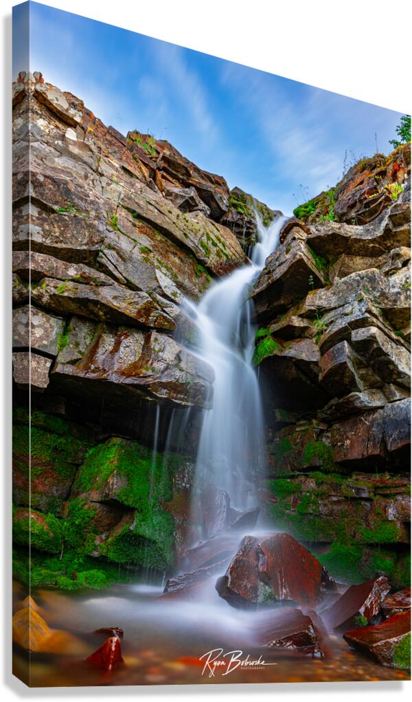 Natural Elegance Canvas Print