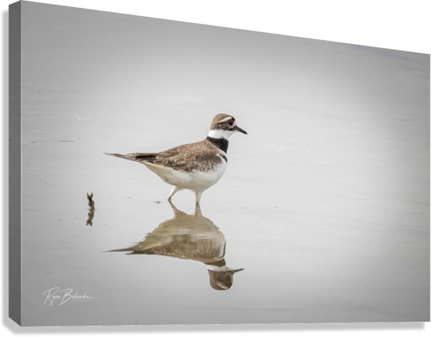 Reflecting Canvas Print