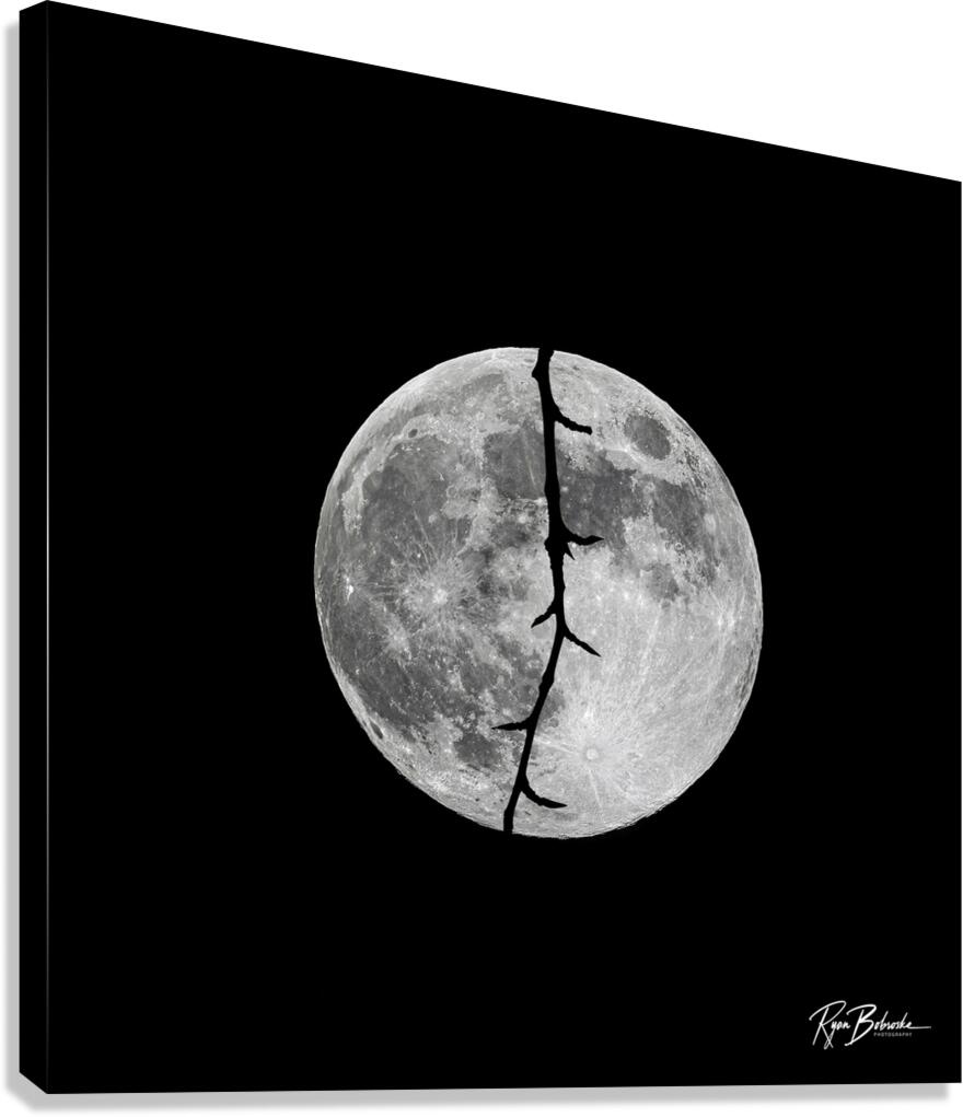 Dark Night Canvas Print