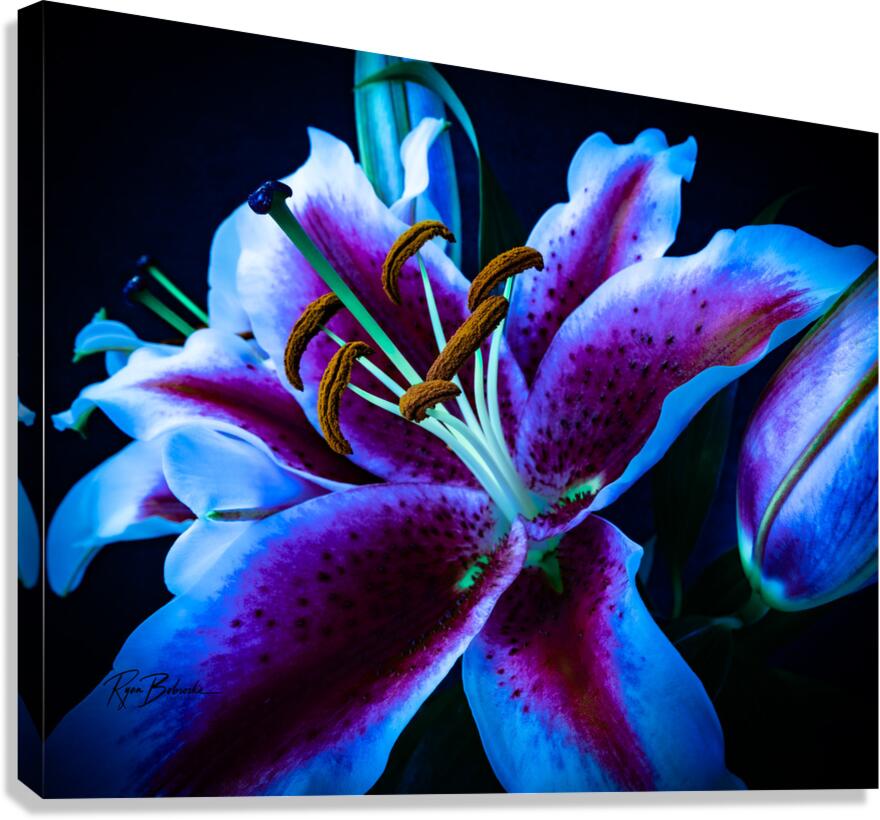 Neon Bloom Canvas Print