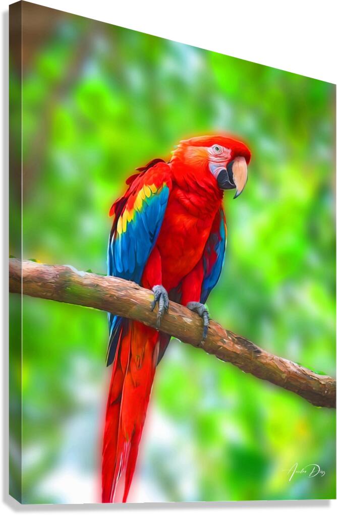 Macaw Bird Canvas Print