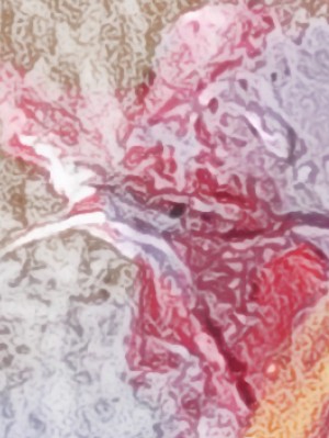 Within Wonderful Colour 