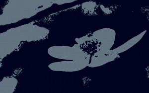 Silent Petals