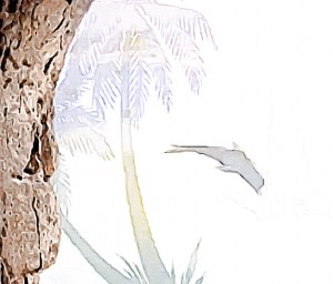 Beautiful encounters 