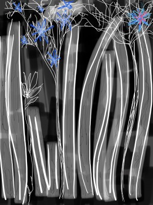 Hues of the Bamboo Blue Forest