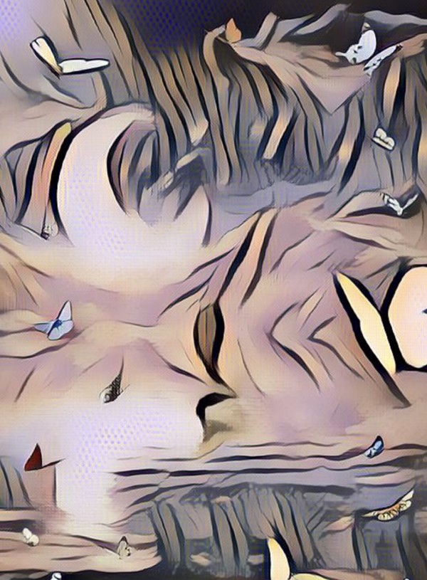 The Dreamer collection  Print