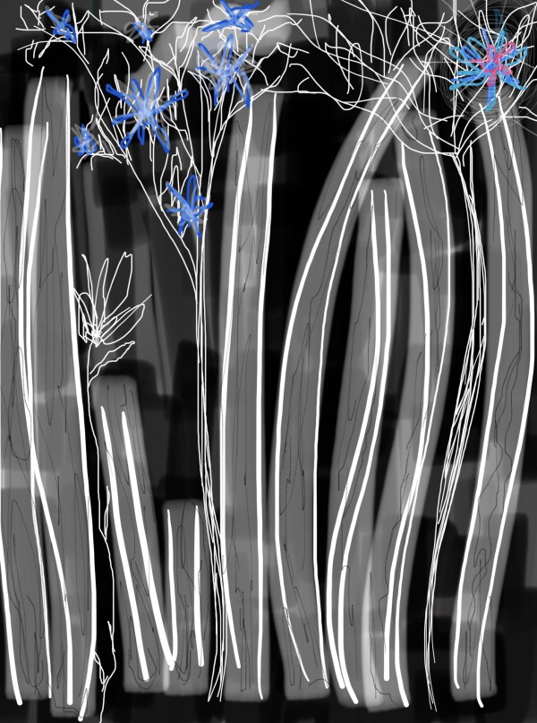 Hues of the Bamboo Blue Forest Print