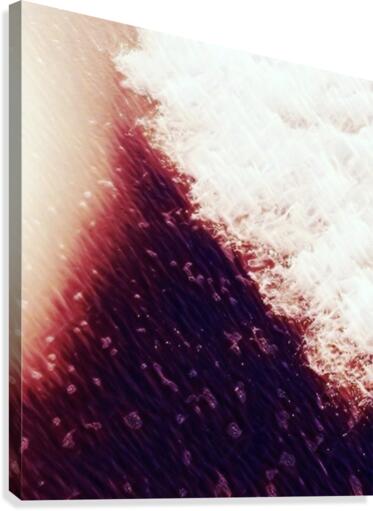 Still Motion Canvas Print