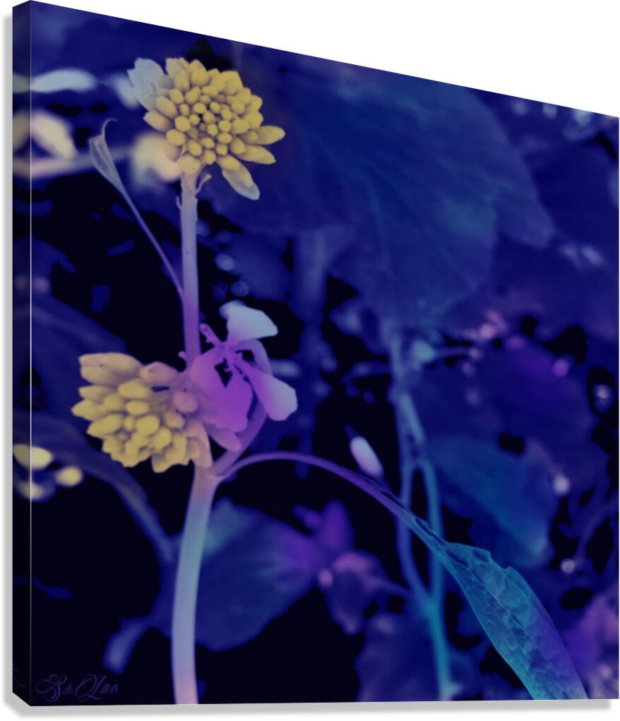 Painted Flora  Canvas Print