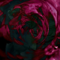 Escapades In Depths