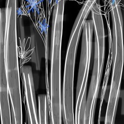 Hues of the Bamboo Blue Forest