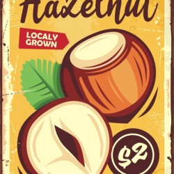 hazelnut