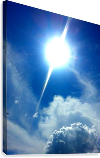 Bright & Sunny Canvas Print