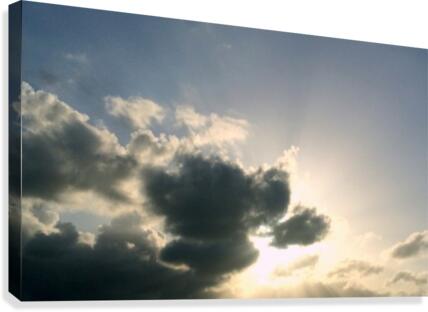 Sunny days Canvas Print