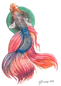 Siamese Fighting Fish