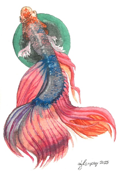 Siamese Fighting Fish Print