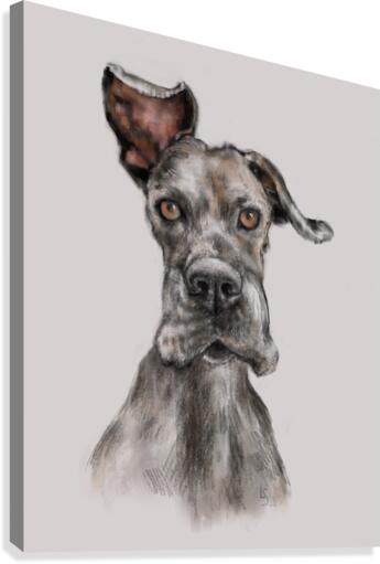 Boomer Canvas Print