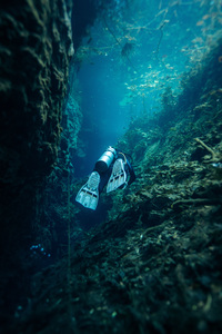 Swimming Through Cenotes