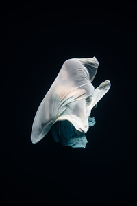 Behind the Fabric 2