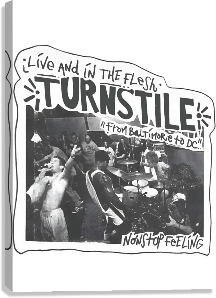 Turnstile 21 Canvas Print