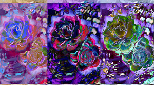 A ROSE IS A ROSE copy