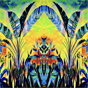 BirdsOfParadise 