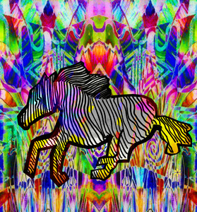 FLYING ZEBRA