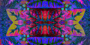 NATURE OF THINGS 