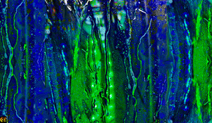 RAINMURAL
