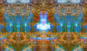 WINDOWVISION