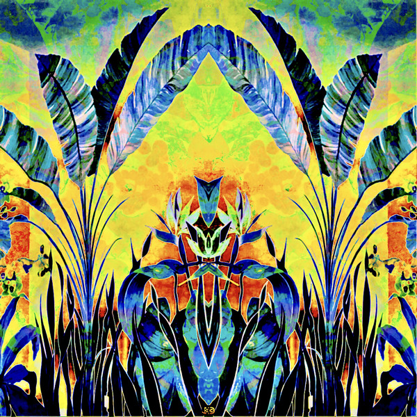 BirdsOfParadise  Print