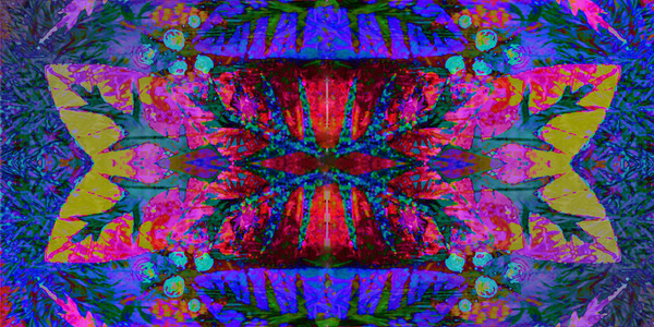 NATURE OF THINGS  Print