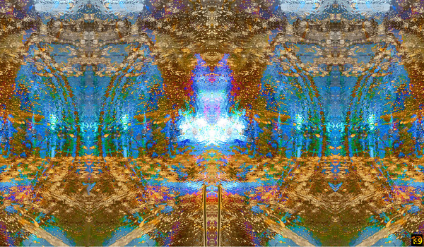 WINDOWVISION Print