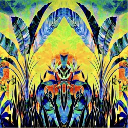BirdsOfParadise 