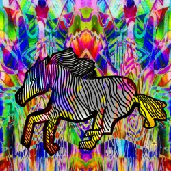 FLYING ZEBRA