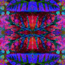 NATURE OF THINGS 