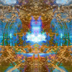 WINDOWVISION