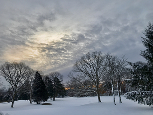 Wintery Snowscape