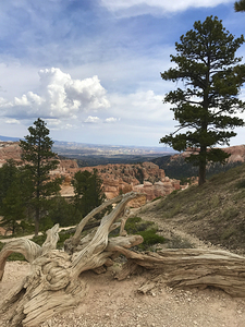Bryce Canyon