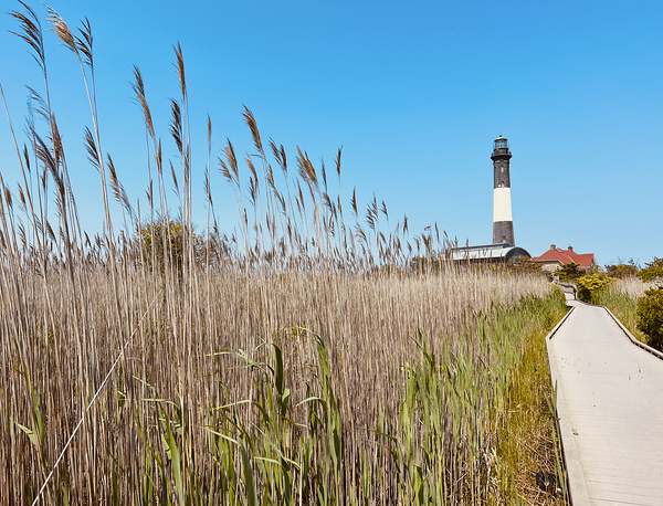 Fire Island Lighthouse Print