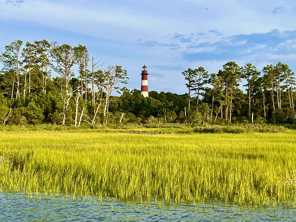 Lighthouse Waterscape Print