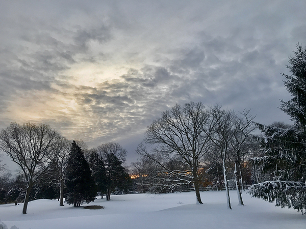 Wintery Snowscape by Lisa Ann