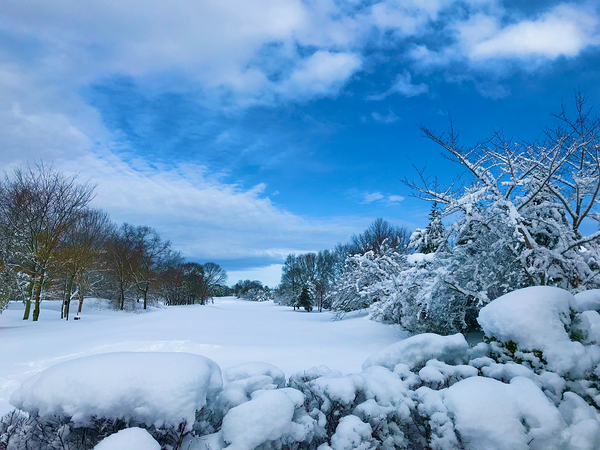Winterland Print