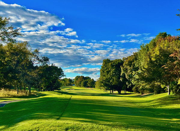 Fairway View Print