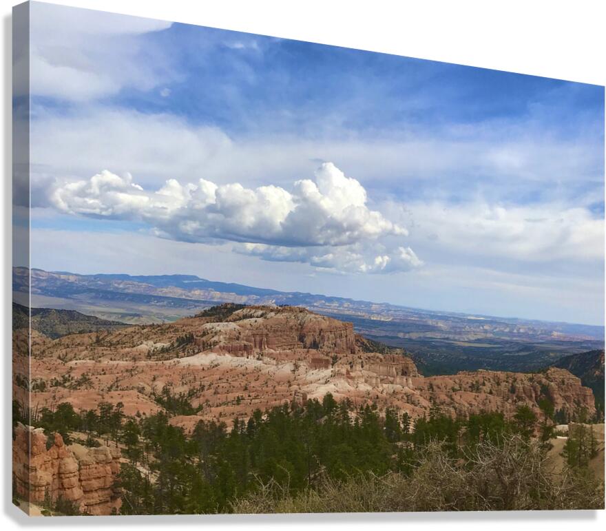 Cloudy Skies Canvas Print